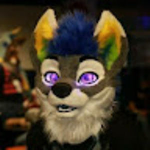 Meet your Posher, Rocketriot